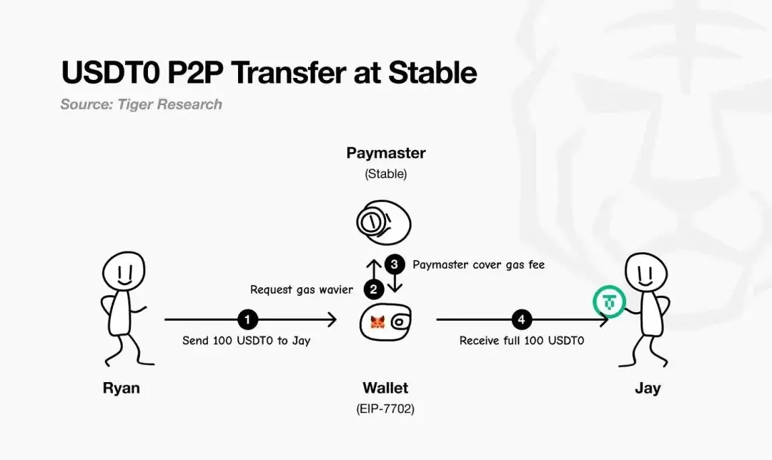 稳定币公链介绍