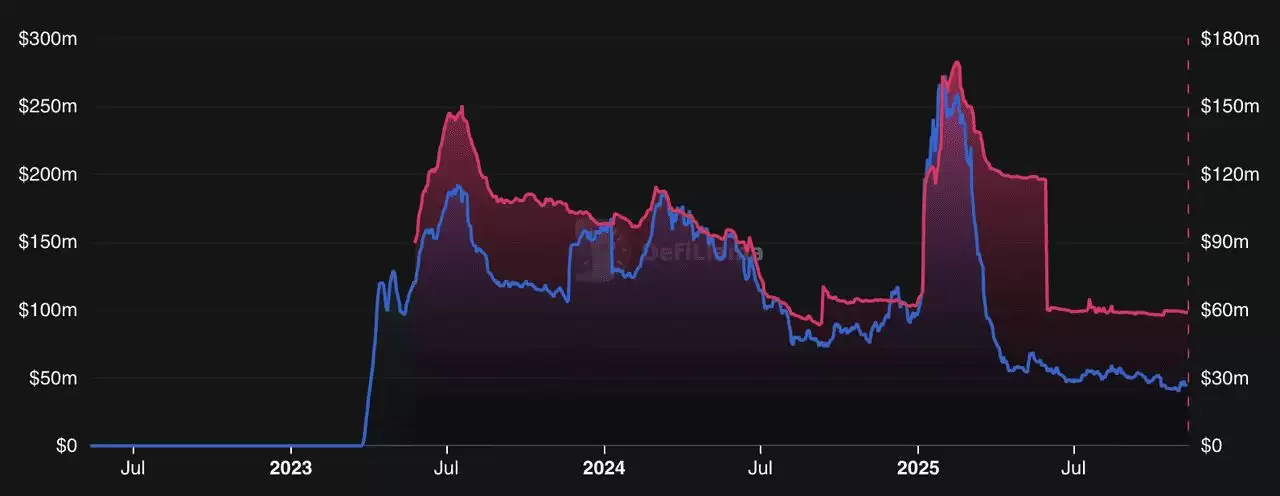 2025 年 ZKsync 生态系统的发展动力是什么？