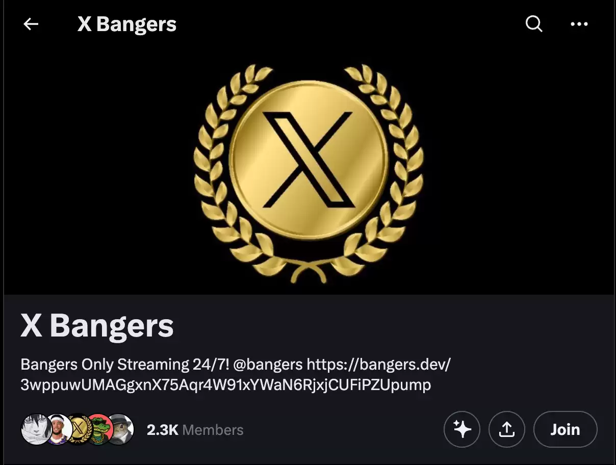 什么是 X Bangers Coin？