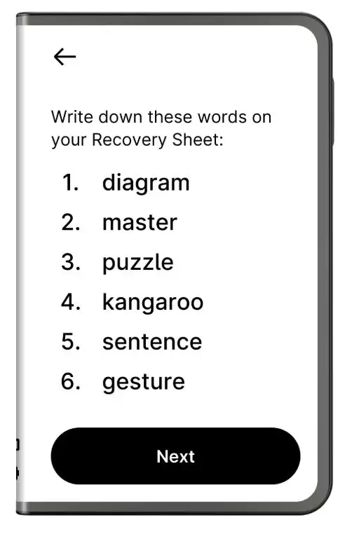 什么是Ledger Stax wallet？功能有哪些？使用步骤教学