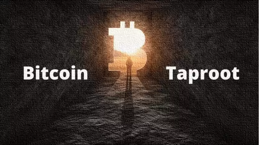 什么是比特币Taproot升级？Taproot有什么好处？