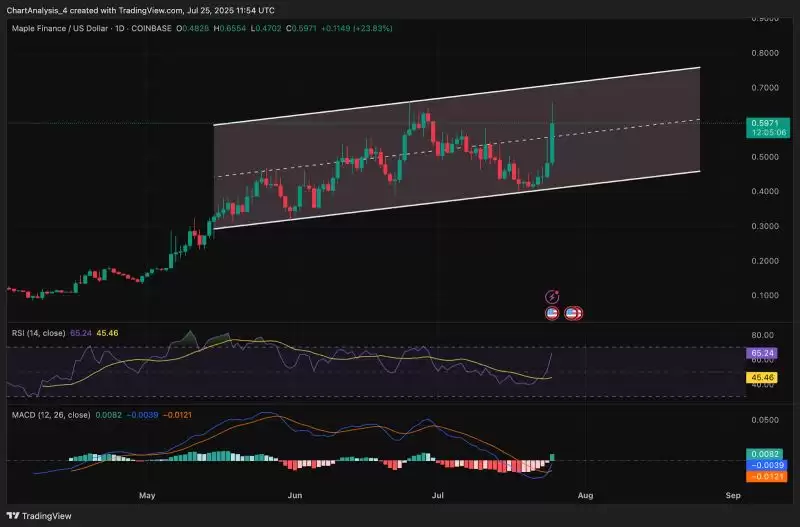 Maple Finance(SYRUP币)是什么？价格能涨到多少？SYRUP币价格预测(2025.7.26)