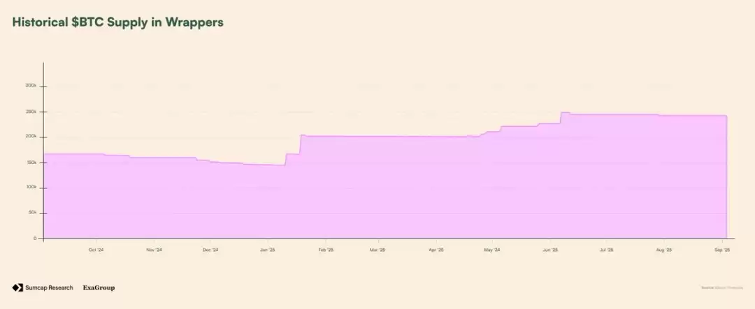 Plasma对链上支付影响