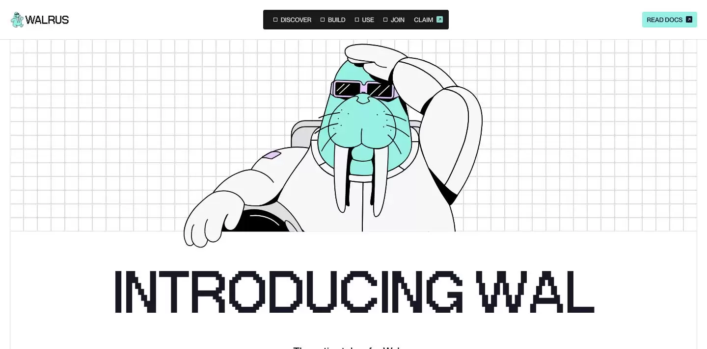 什么是Walrus (WAL币)？WAL未来展望及价格预测