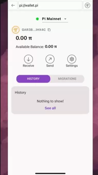 如何设置 Pi wallet：逐步指南_图8