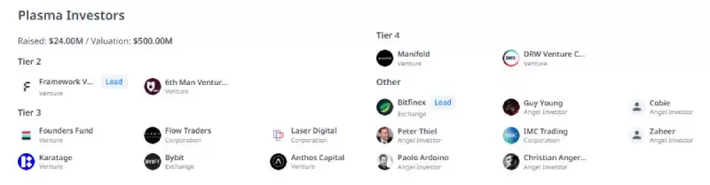 Plasma(XPL)币全面介绍