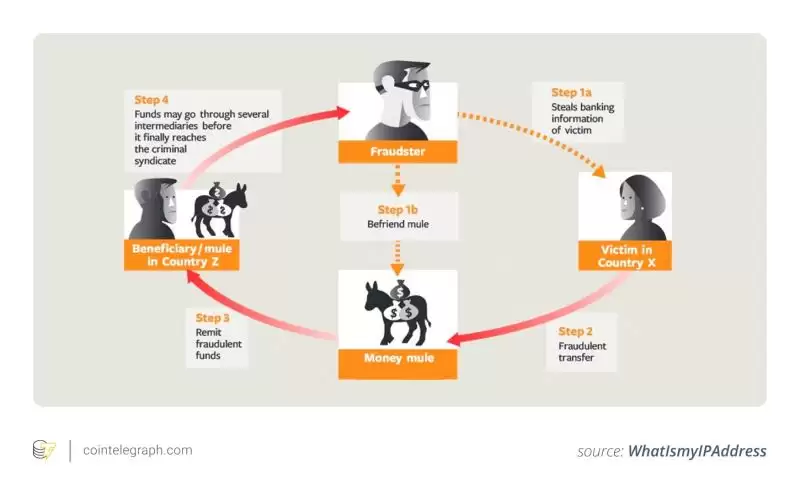 加密货币钱骡骗局是什么？如何避免区块链钱骡诈骗呢？如何举报？
