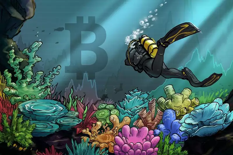 11月比特币（BTC）价格下跌20%，预计将在“本周”触底