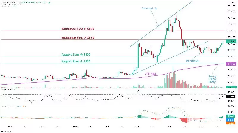 比特币现金（BCH币）是什么？2025年还有上涨空间？BCH未来展望