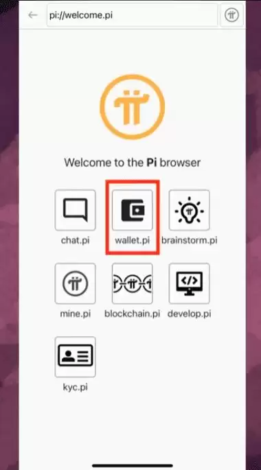 如何设置 Pi wallet：逐步指南_图5