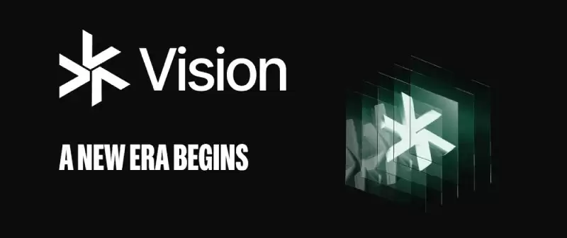 Vision(VSN)币全面介绍