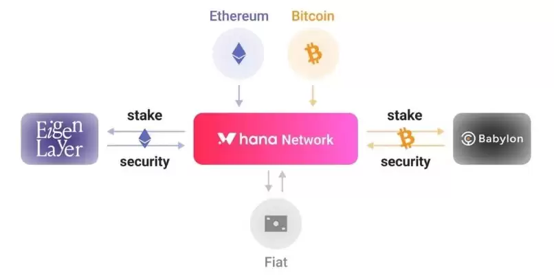 Hana Network(HANA)币全面介绍