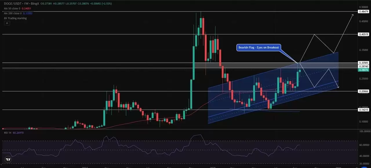 狗狗币(DOGE)币价格预测:DOGE在2025年能涨到1美元吗？