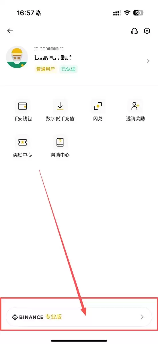 币安简易版跟专业版的区别