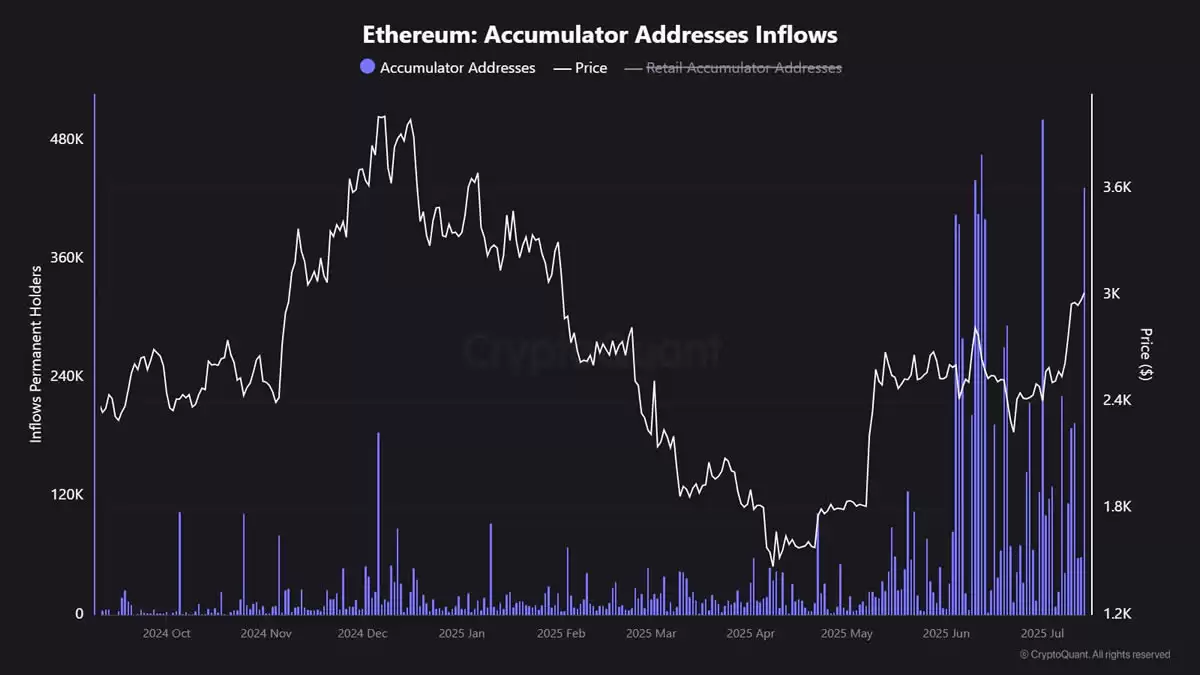 BTC新高、ETH冲上3600美元,有哪些板块的强势山寨币适合布局?