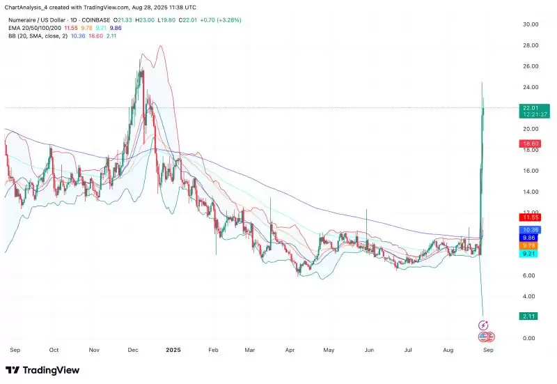 Numeraire(NMR币)怎么样？值得投资吗？NMR代币经济、前景、价格预测