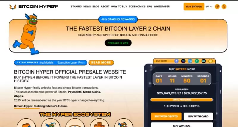 最佳加密货币预售介绍