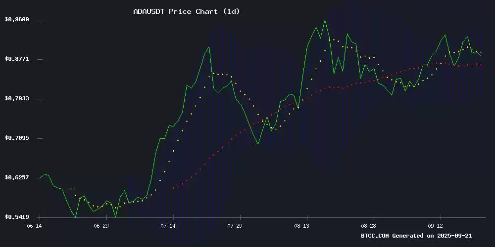 2025年Cardano（ADA）价格预测:可能突破至1.20美元