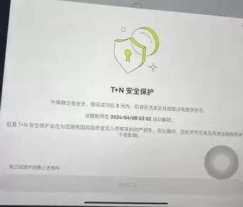 欧易交易所买U、提现T+N介绍