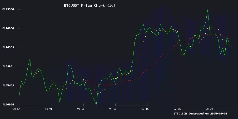 BTC价格预测:技术调整中的长期投资机会