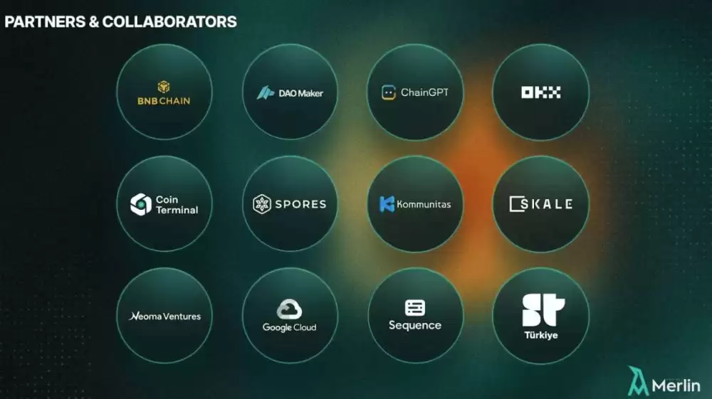 Project Merlin(MRLN)币具体分析