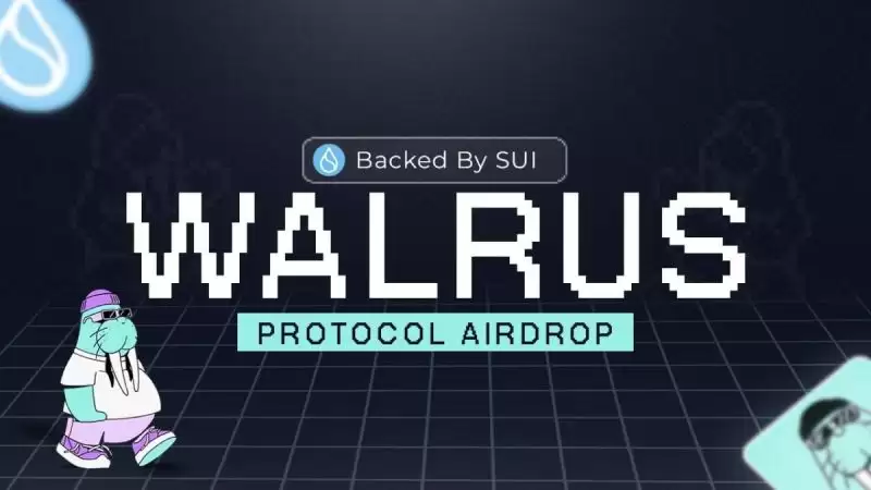 Walrus(WAL)币空投指南