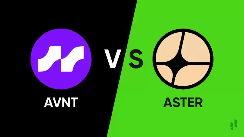 ASTER与AVNT对比介绍