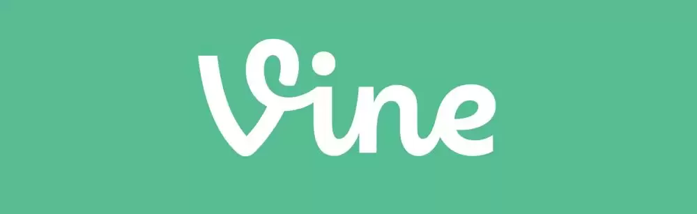 Vine Coin(VINE币)是什么？有投资价值吗？VINE币项目特色、代币经济及未来展望