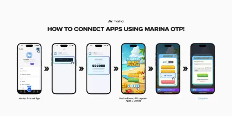 Marina Protocol(BAY)币具体介绍