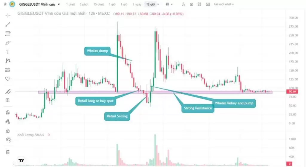 什么是止损狩猎？一文带你看懂巨鲸布局与避坑策略全流程