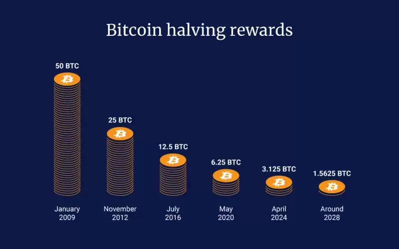比特币减半你需要知道的一切
