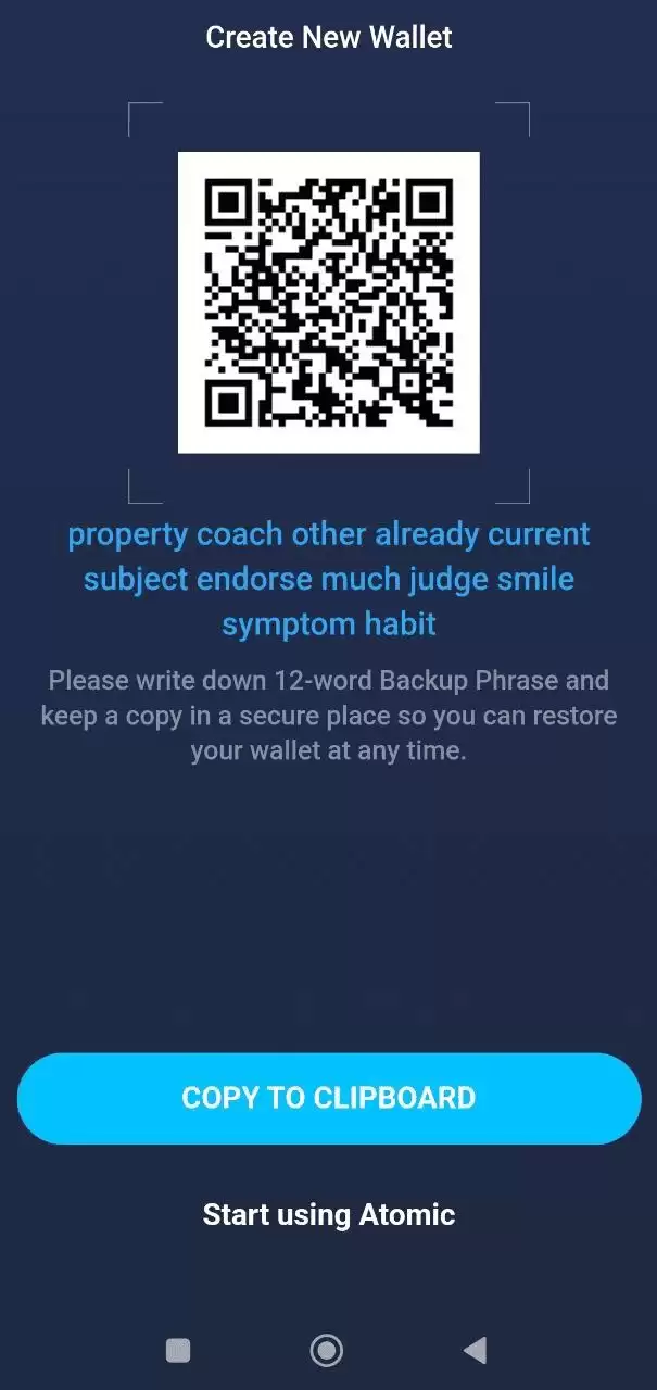 Atomic Wallet 是什么？如何运作？如何设置 Atomic Wallet？（图文步骤指南）