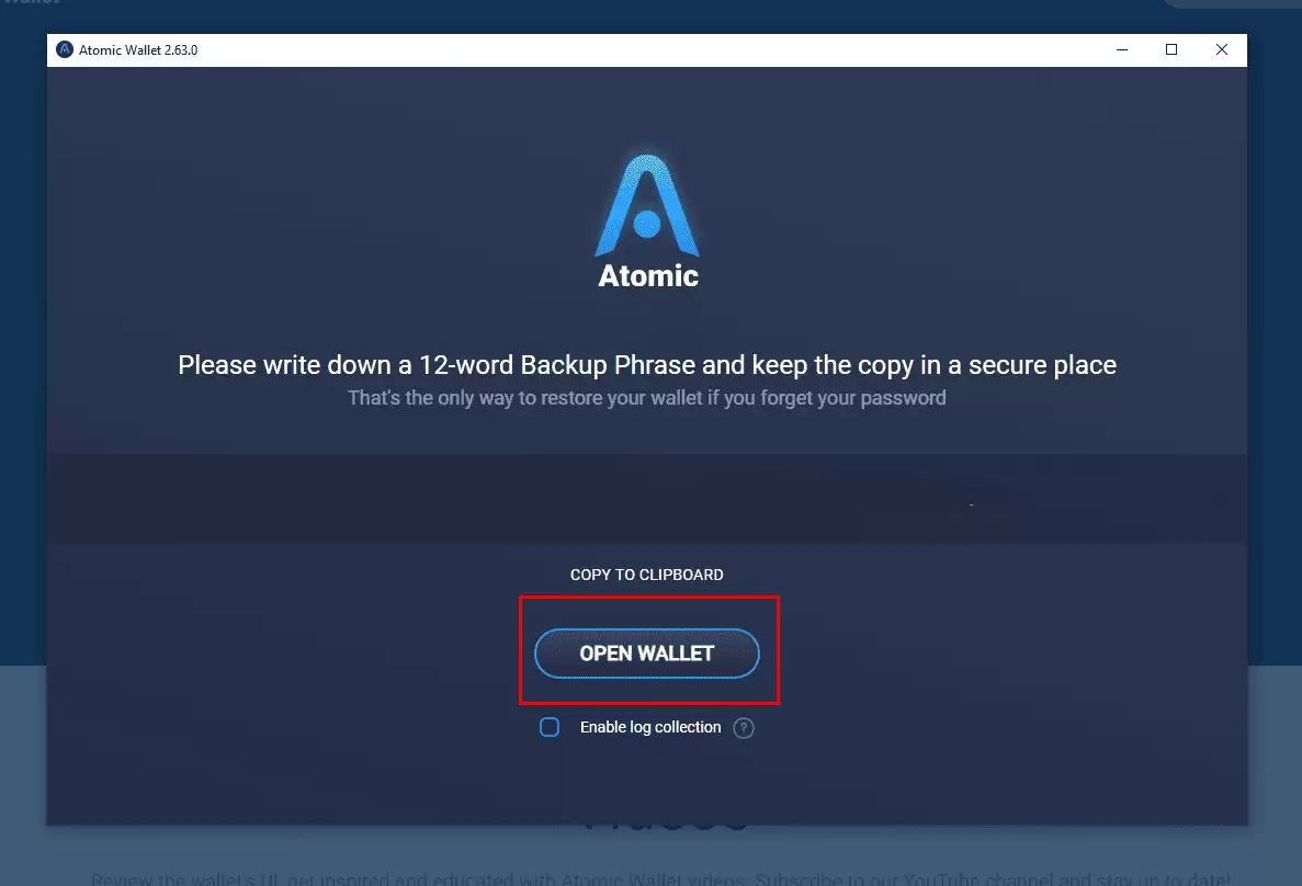 Atomic Wallet 是什么？如何运作？如何设置 Atomic Wallet？（图文步骤指南）