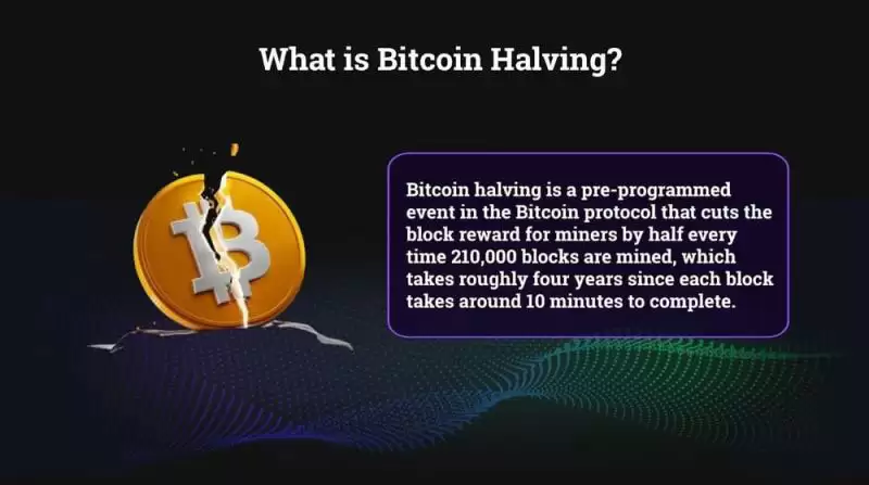比特币减半你需要知道的一切