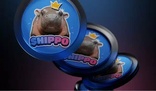 什么是HIPPO币？HIPPO运作方式、市场表现及未来规划