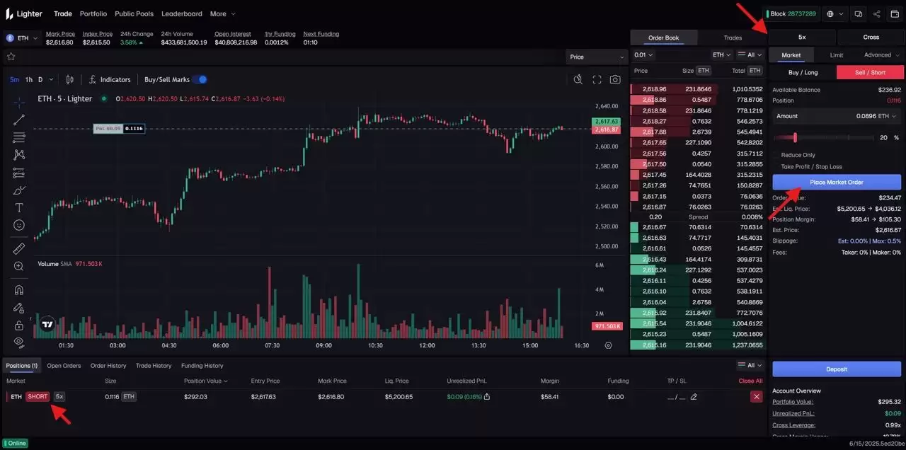 Lighter是什么？积分获取方法、可靠性评估与数据概览