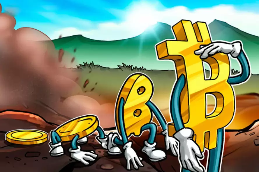 Galaxy警告称：随着保费崩溃，比特币国库公司进入 “达尔文阶段”