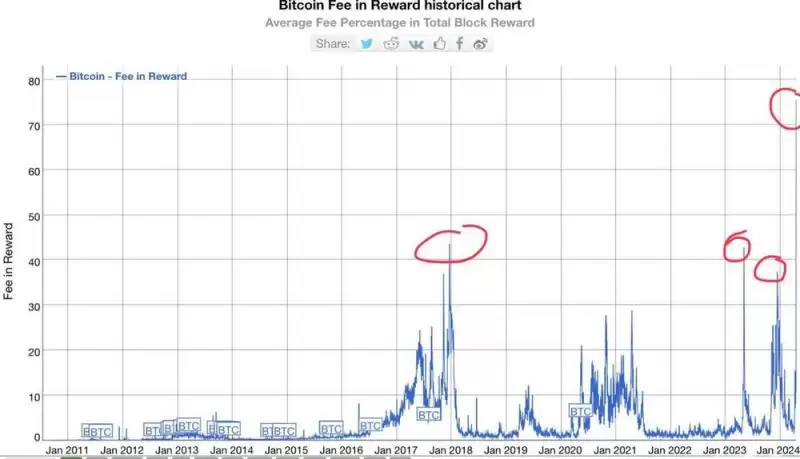 比特币减半你需要知道的一切