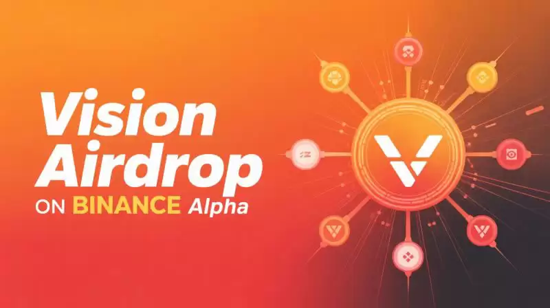 Vision(VSN)币详细介绍