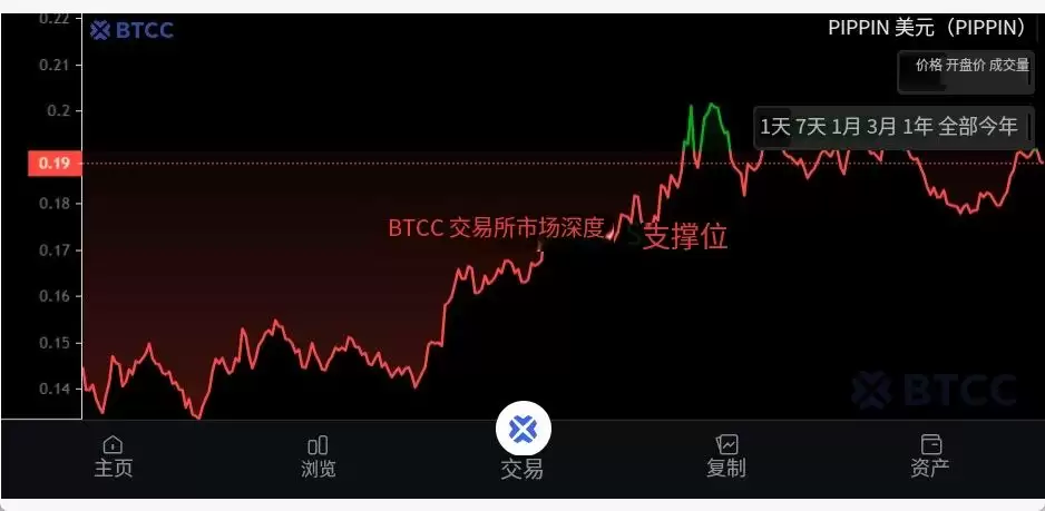 什么是PIPPIN币？PIPPIN运作方式、未来展望及购买指南