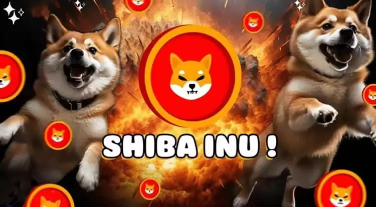 狗狗币（DOGE）和柴犬币（SHIB）哪个适合长期持有投资？