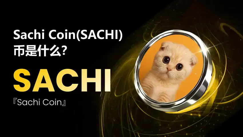 Sachi Coin(SACHI)币是什么？值得投资吗？SACHI币价格分析与预测