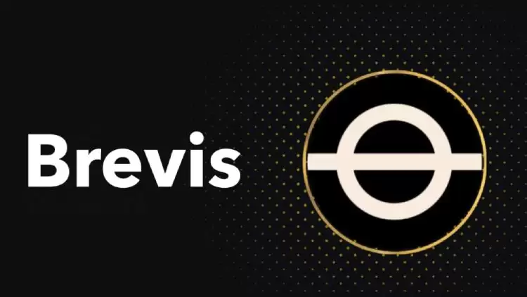 Brevis Network(BREV)币全面介绍