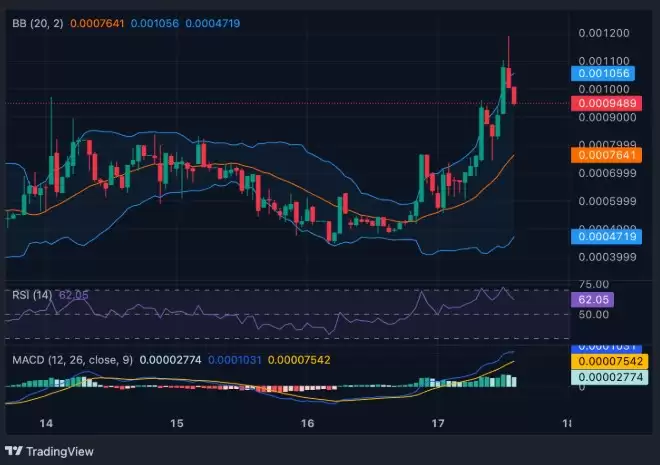 迷因币Dinosol (DINO) 是什么？代币经济学解释及价格走势