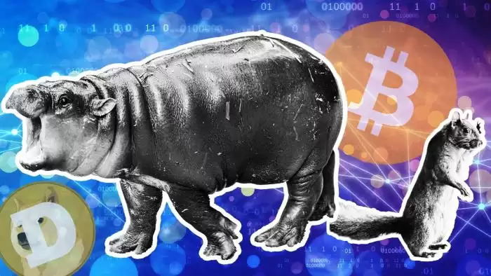 最佳Memecoinwallet盘点