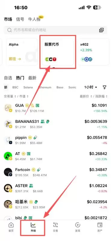 币安wallet使用链上股票（币安中国版叫股票代币）购买股票
