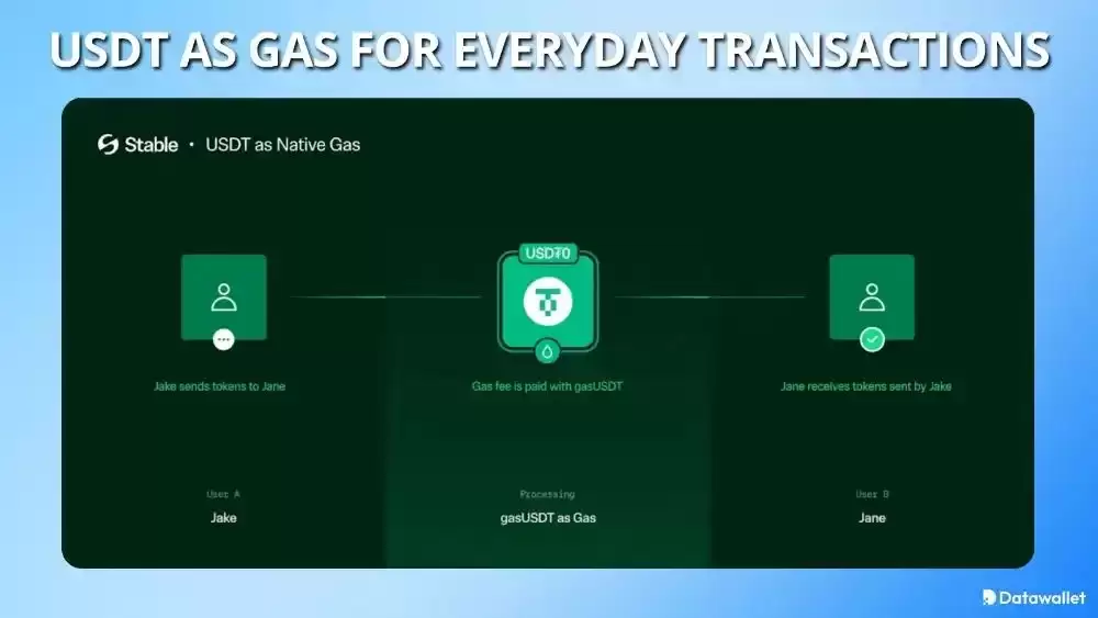 StableChain是什么？运作机制、USDT应用、代币经济与风险评估