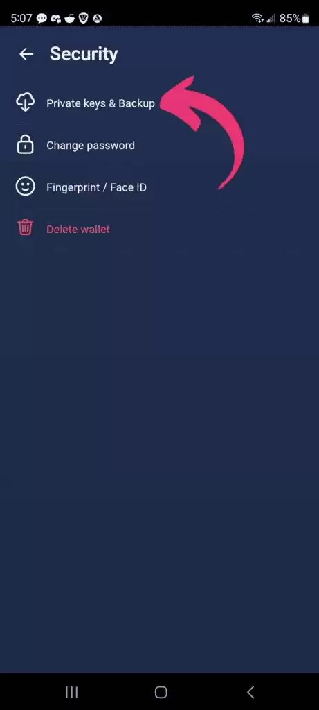 Atomic Wallet 是什么？如何运作？如何设置 Atomic Wallet？（图文步骤指南）