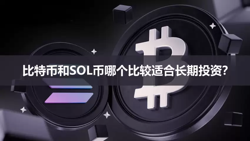 比特币和SOL币哪个比较适合长期投资？