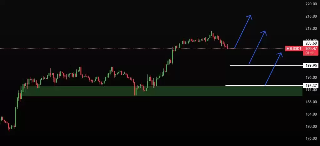 什么是止损狩猎？一文带你看懂巨鲸布局与避坑策略全流程